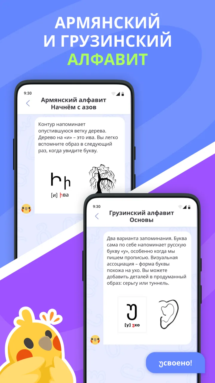 Уроки Alfabird по армянскому и грузинскому алфавитам